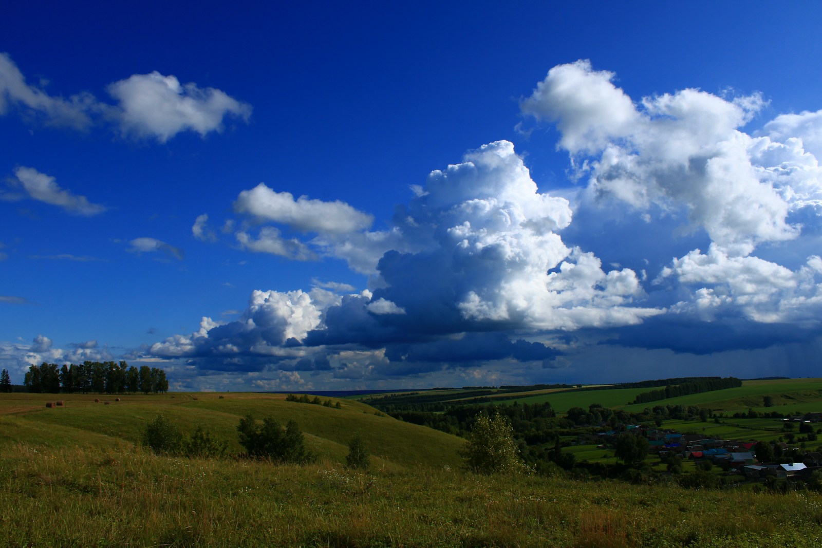 Reading Cumulus Growth: A Field Guide for Amateur Storm Chasers